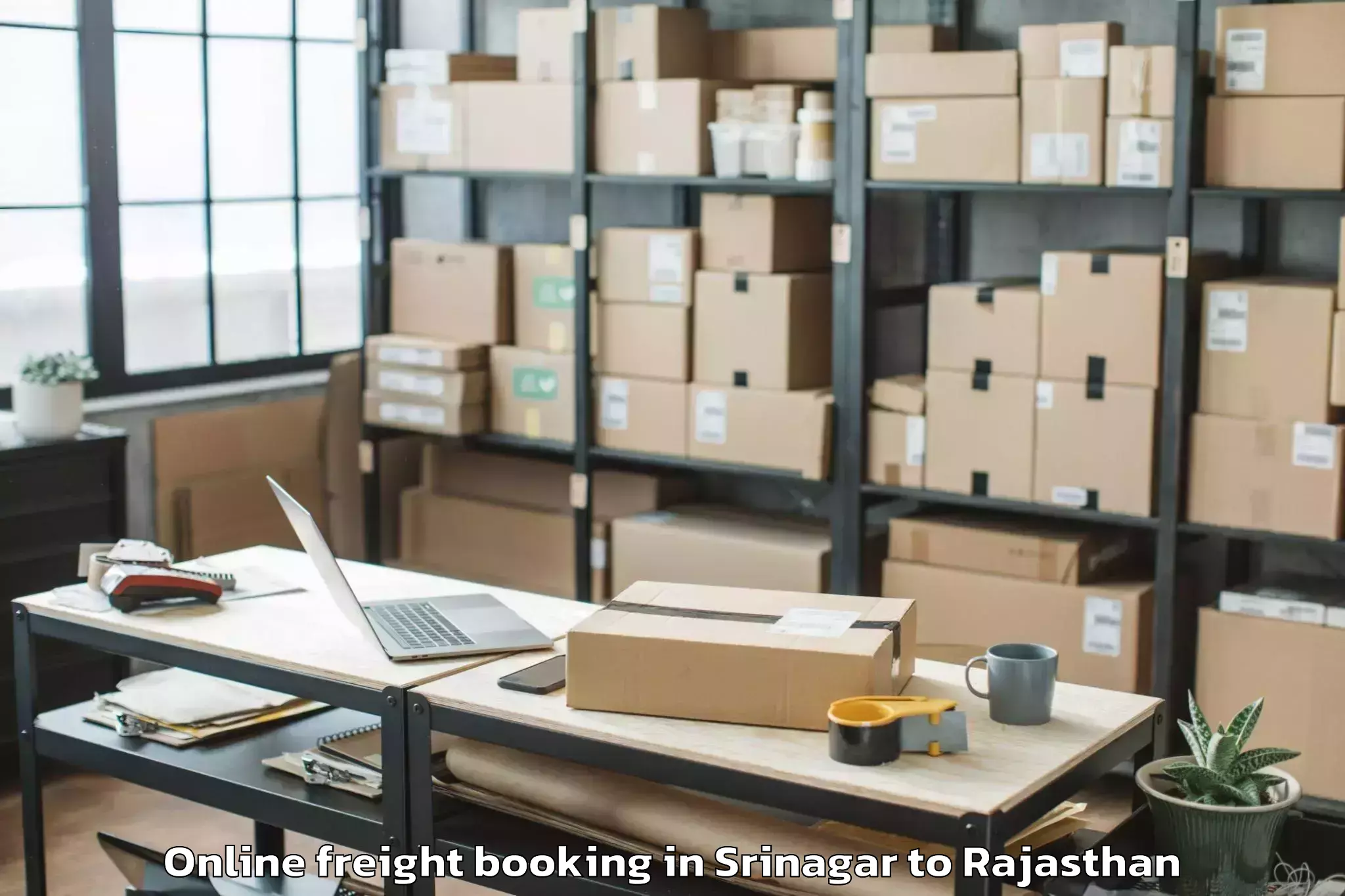 Book Your Srinagar to Udaipur Online Freight Booking Today